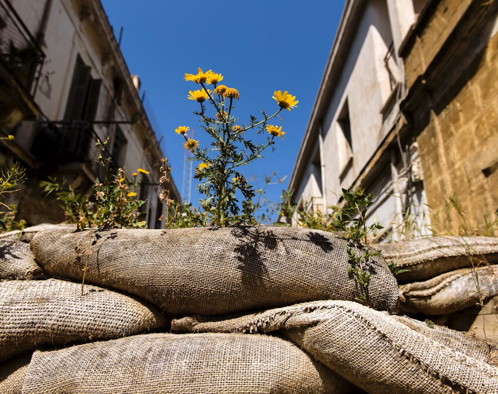 Divided Island: The Roots of the Cyprus&nbsp;Question